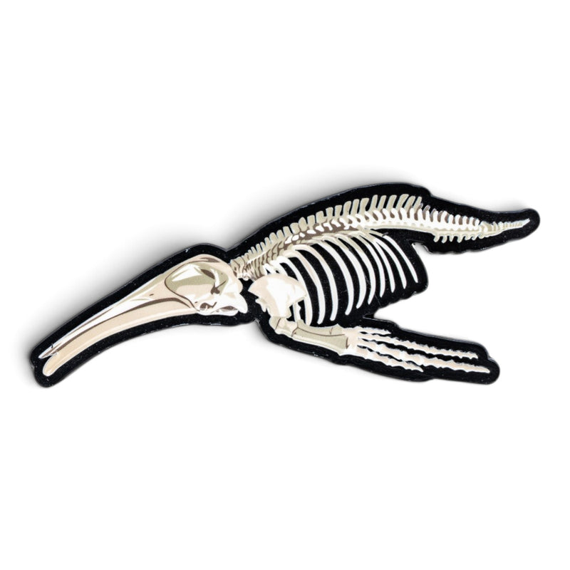 Enamel Skeleton Magnet