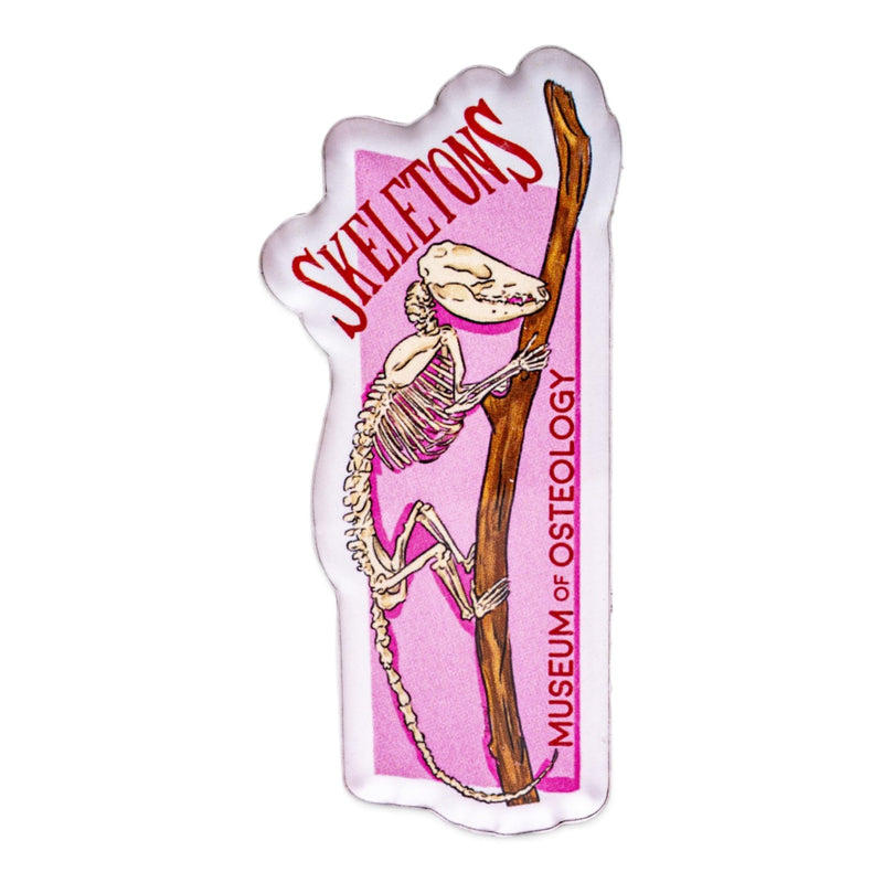 3" Acrylic Logo Magnet
