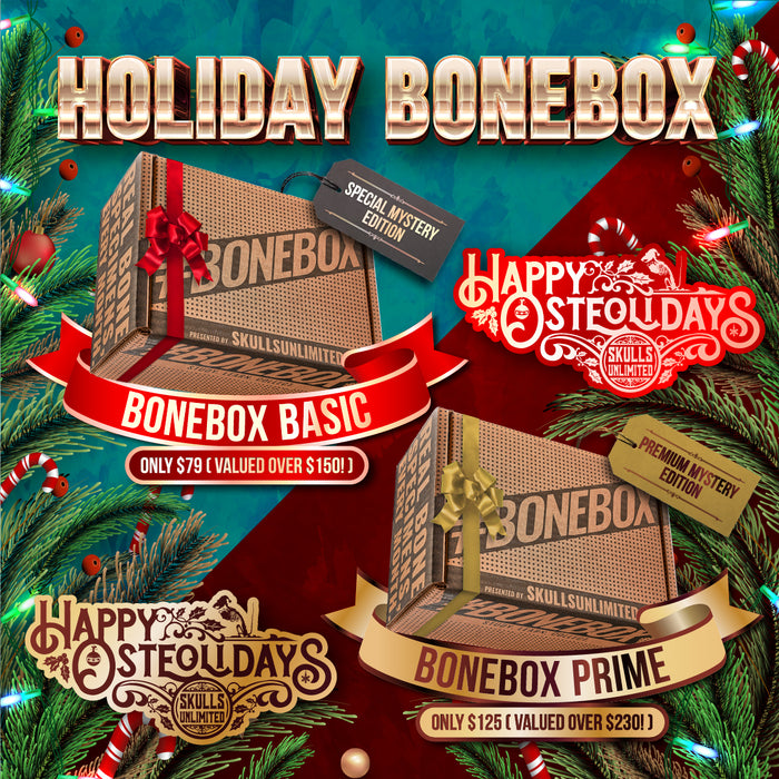 BoneBox Holiday Edition
