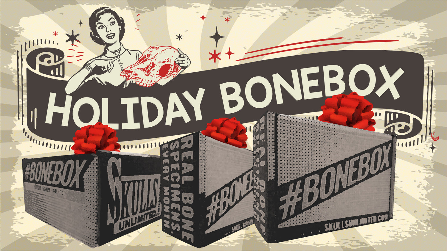 Dust off your curiosity. The Holiday BoneBox 2025 is here.