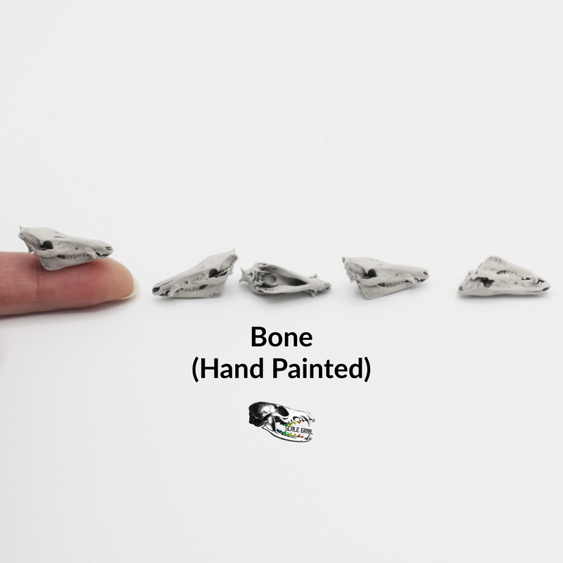 Pig Skull Replica - 1:12 Scale (Set of 5)