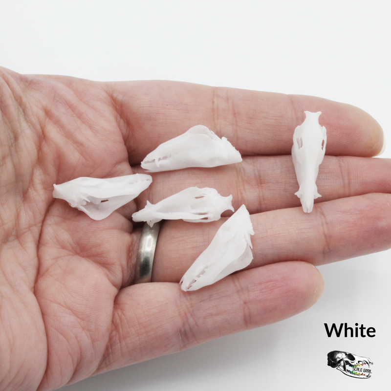 Pig Skull Replica - 1:12 Scale (Set of 5)