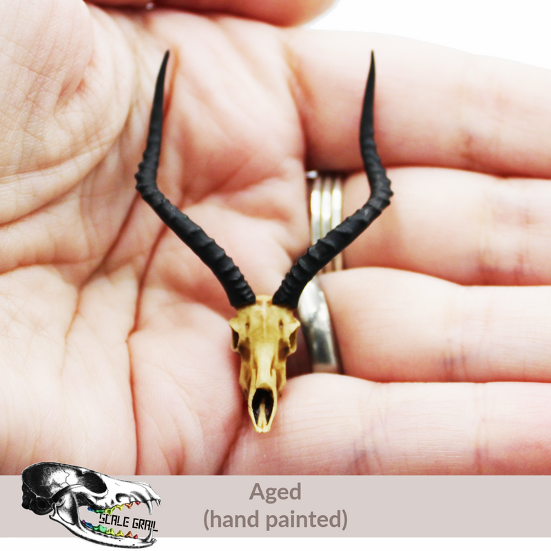 Impala Skull Replica