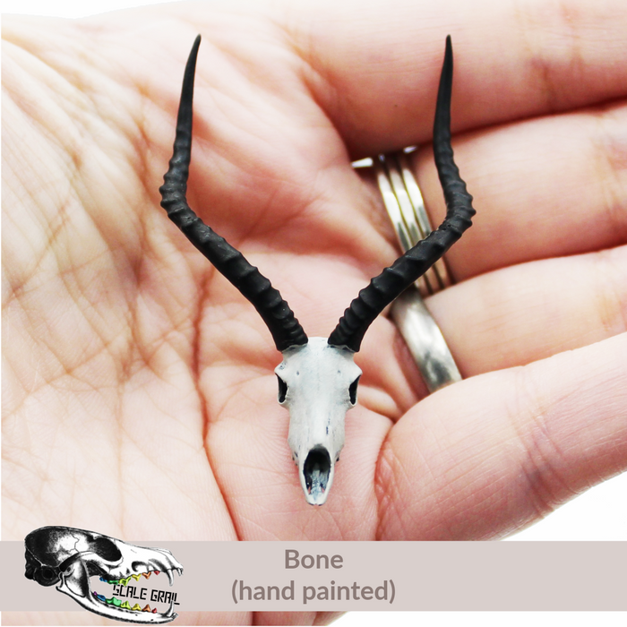 Impala Skull Replica