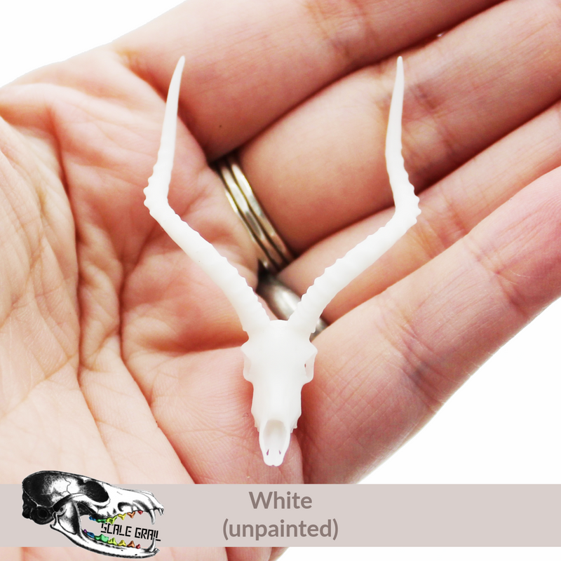Impala Skull Replica