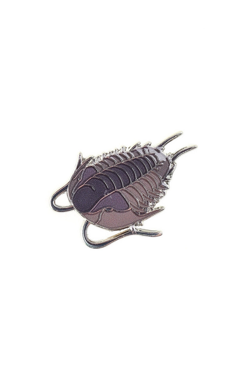 Olenoides Enamel Pin (Olenoides serratus)