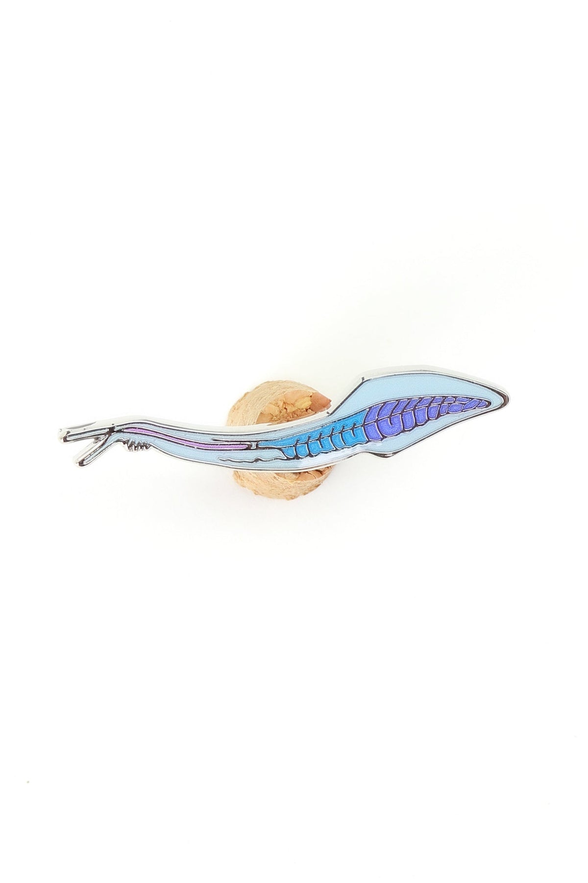 Pikaia Enamel Pin (Pikaia gracilens) For Sale — Skulls Unlimited ...