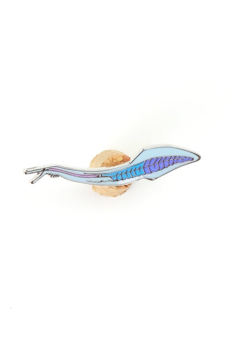 Pikaia Enamel Pin (Pikaia gracilens)
