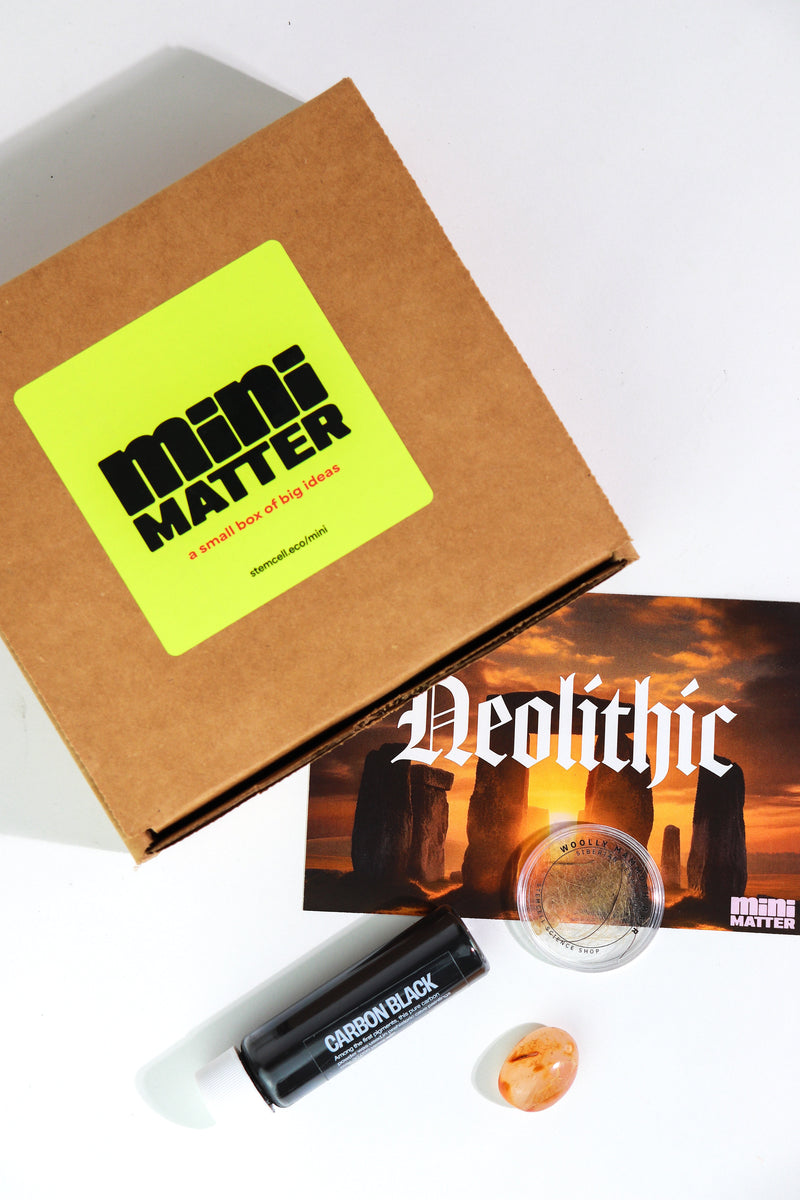 Mini Matter Neolithic Science Kit