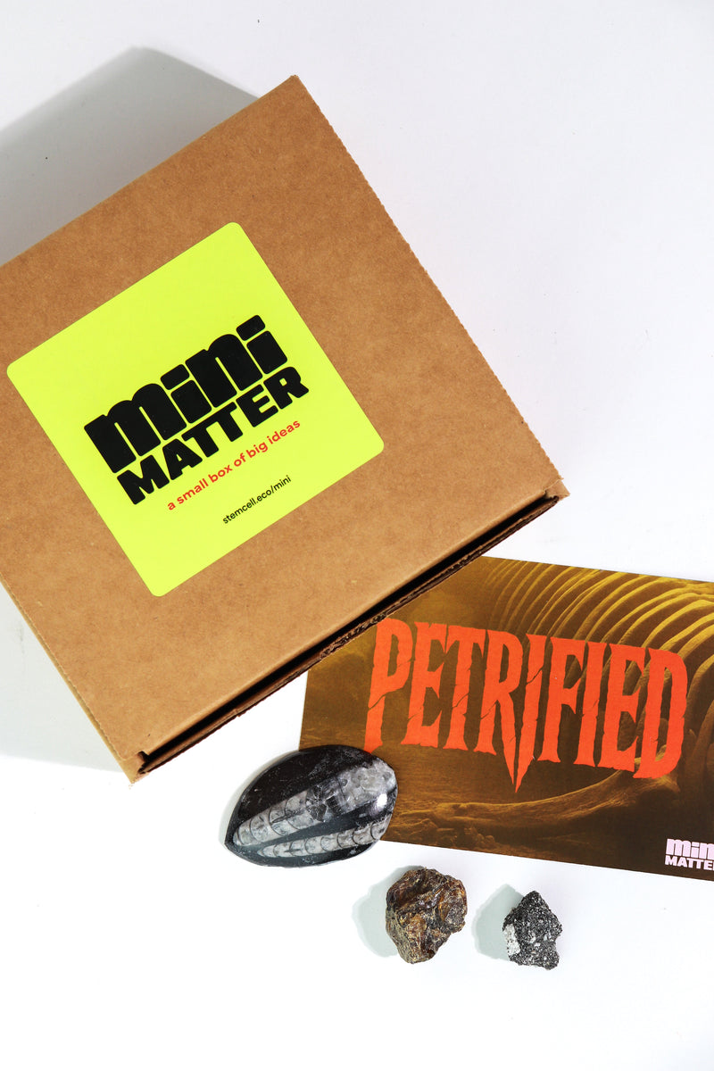 Mini Matter Petrified Science Kit