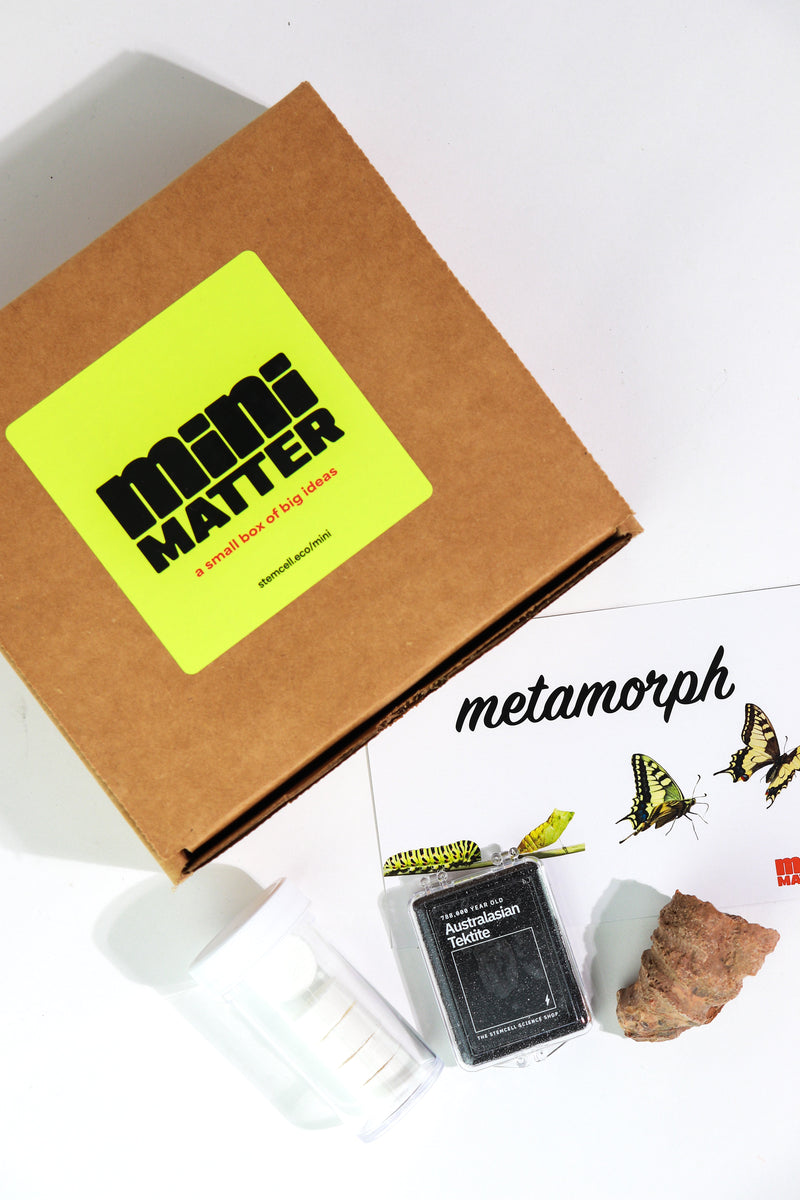 Mini Matter Metamorph Science Kit