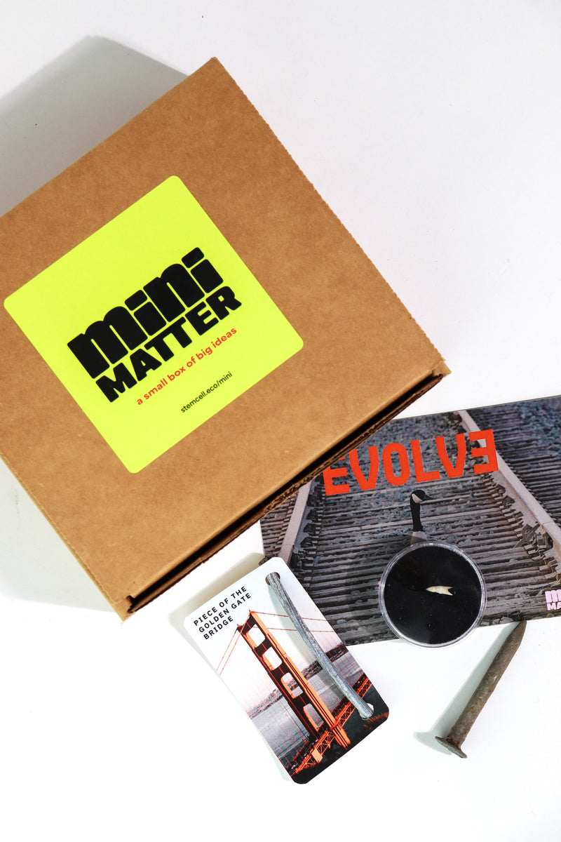 Mini Matter Evolve Science Kit