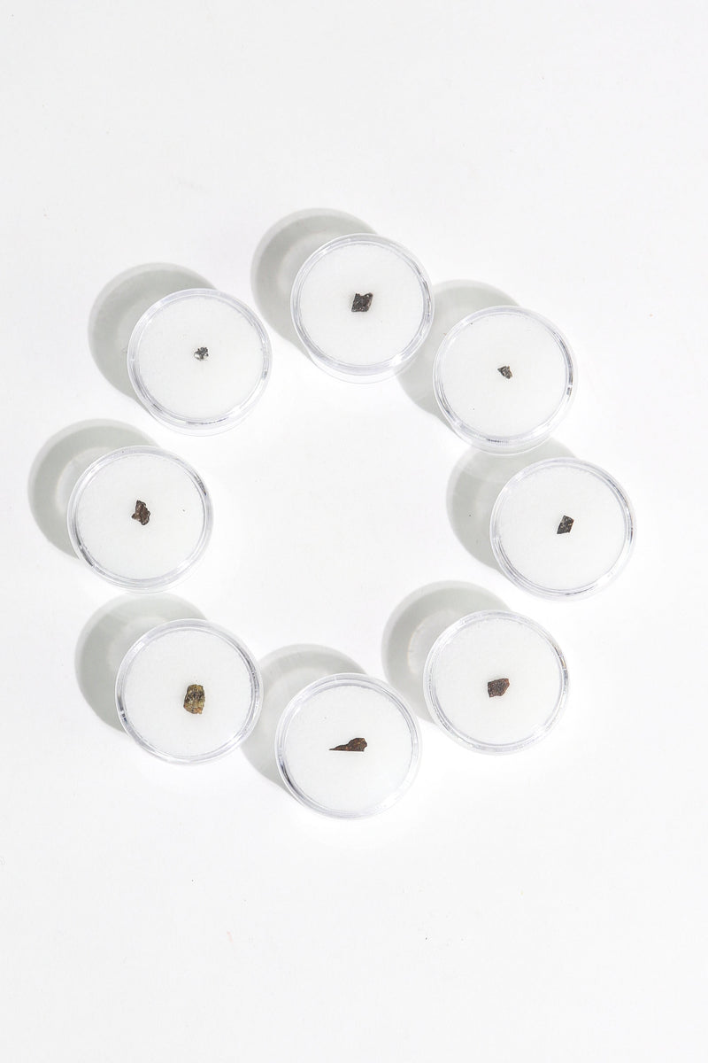 Meteorite Specimen Blind Bag - Cosmology Series 1