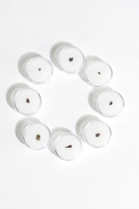 Meteorite Specimen Blind Bag - Cosmology Series 1