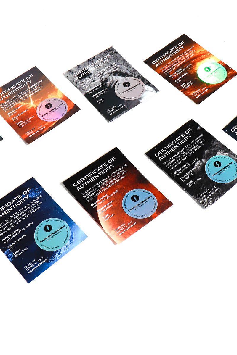 Meteorite Specimen Blind Bag - Cosmology Series 1