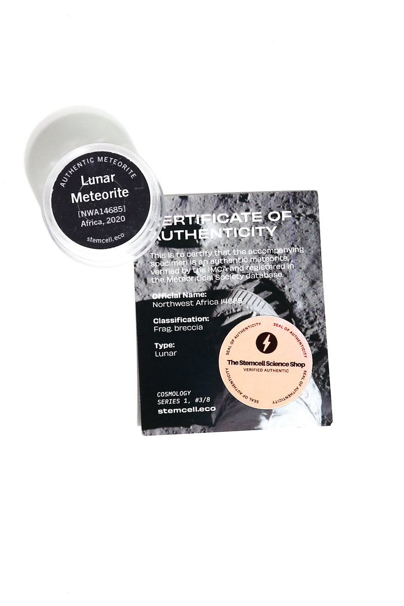 Meteorite Specimen Blind Bag - Cosmology Series 1