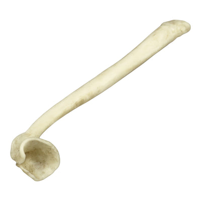 Replica Honey Badger Baculum