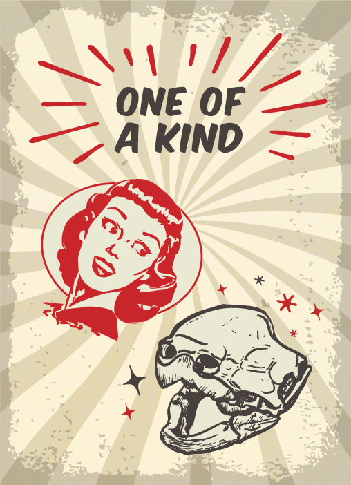 Osteolidays One-of-a-Kind Specials!