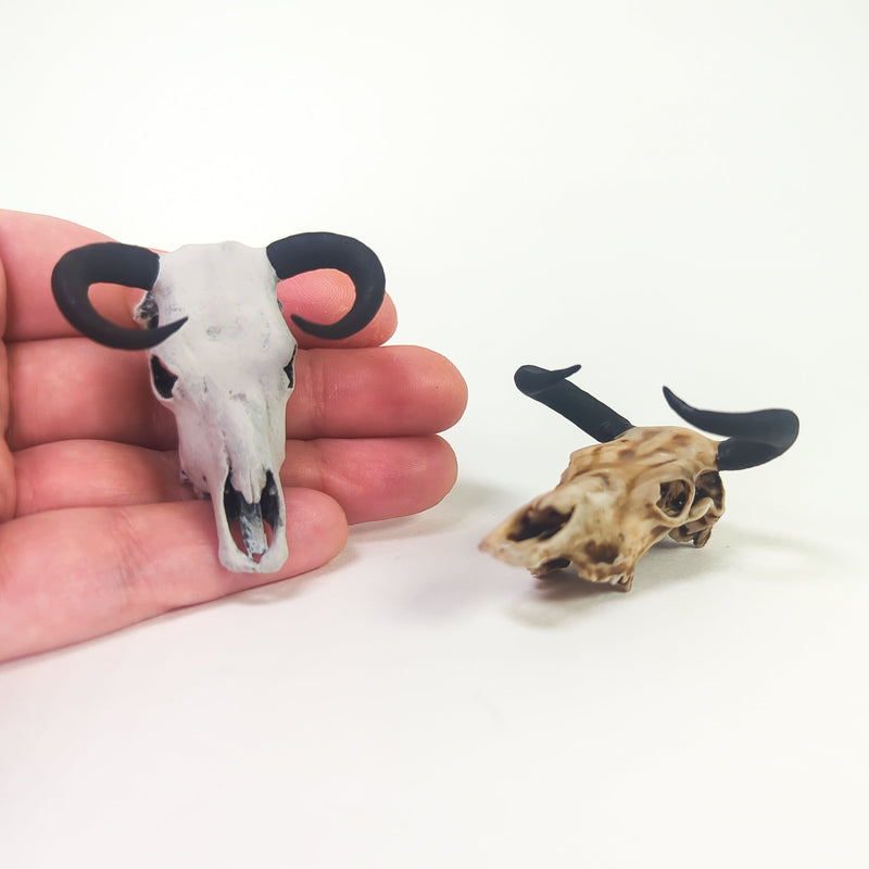 Aurochs Skull Replica - 1:24 Scale