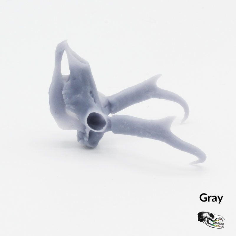 Pronghorn Skull Replica - 1:12 Scale