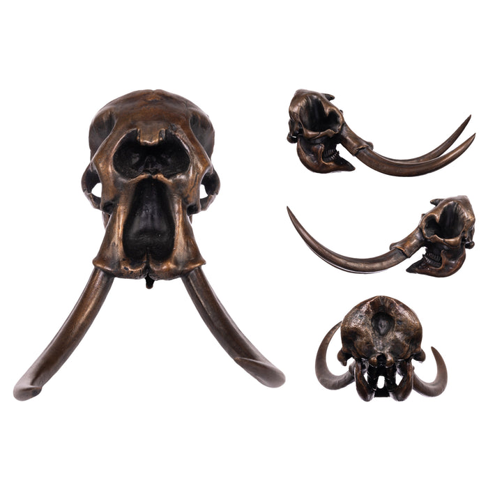 SKULLIES - Bronze Edition