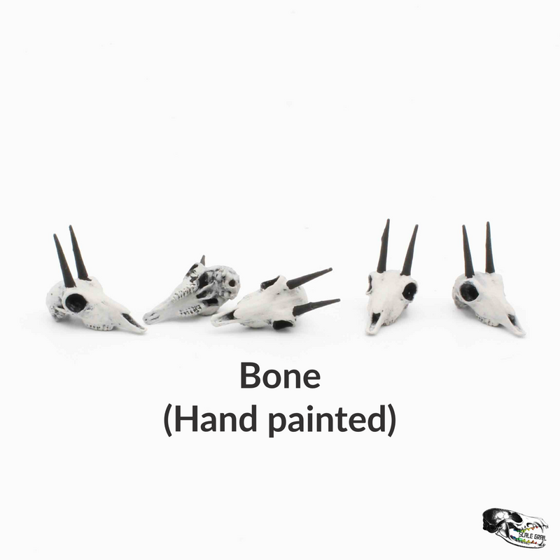 Rhebok Skull Replica - 1:12 Scale (Set of 5)