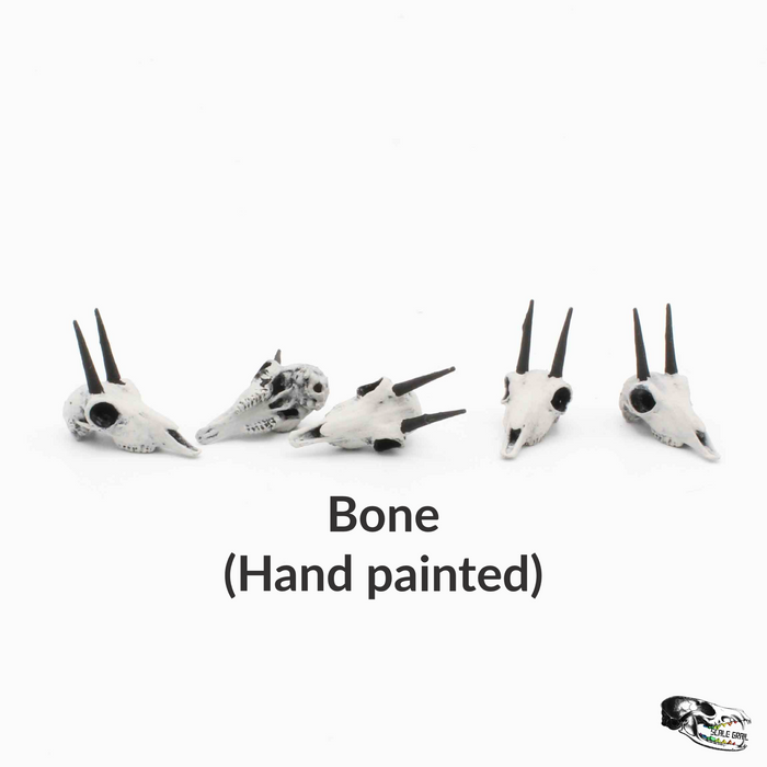 Rhebok Skull Replica - 1:12 Scale (Set of 5)
