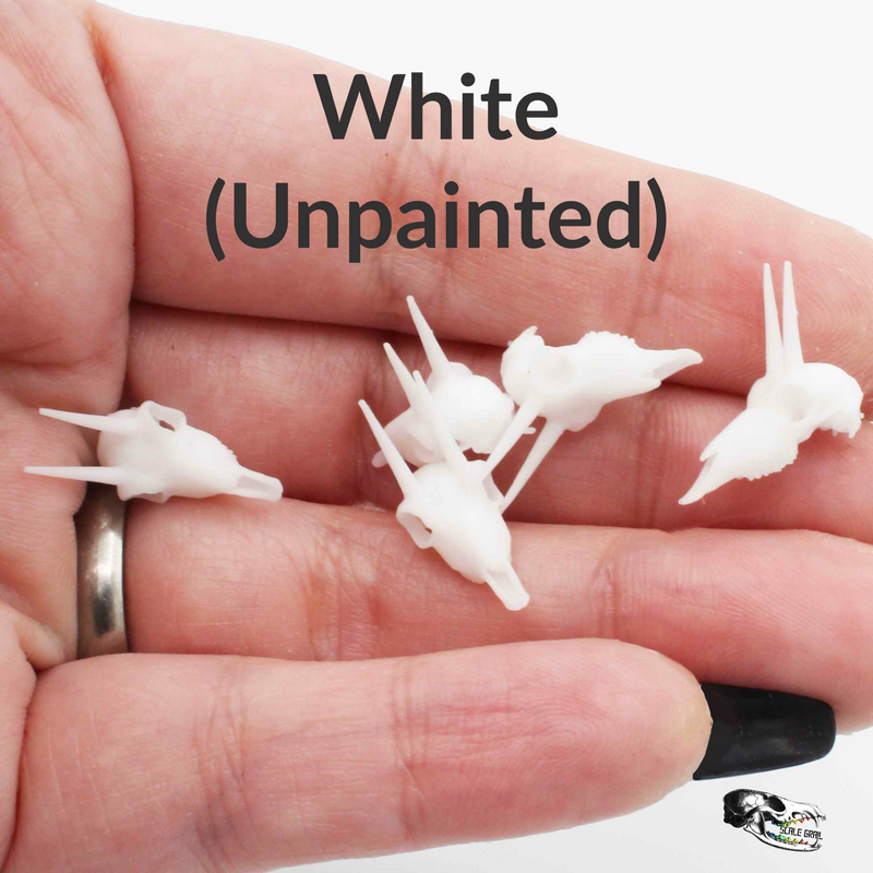 Rhebok Skull Replica - 1:12 Scale (Set of 5)