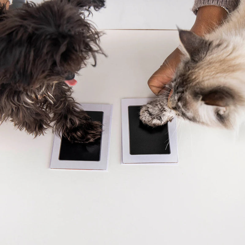Pet Paw Print Clean-Touch Ink Pad - Black