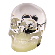 Real Black Scorpion in Acrylic Skull Magnet - Glow