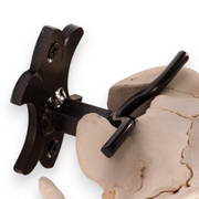 Metal Skull Mount - The 'Buffalo' Bracket