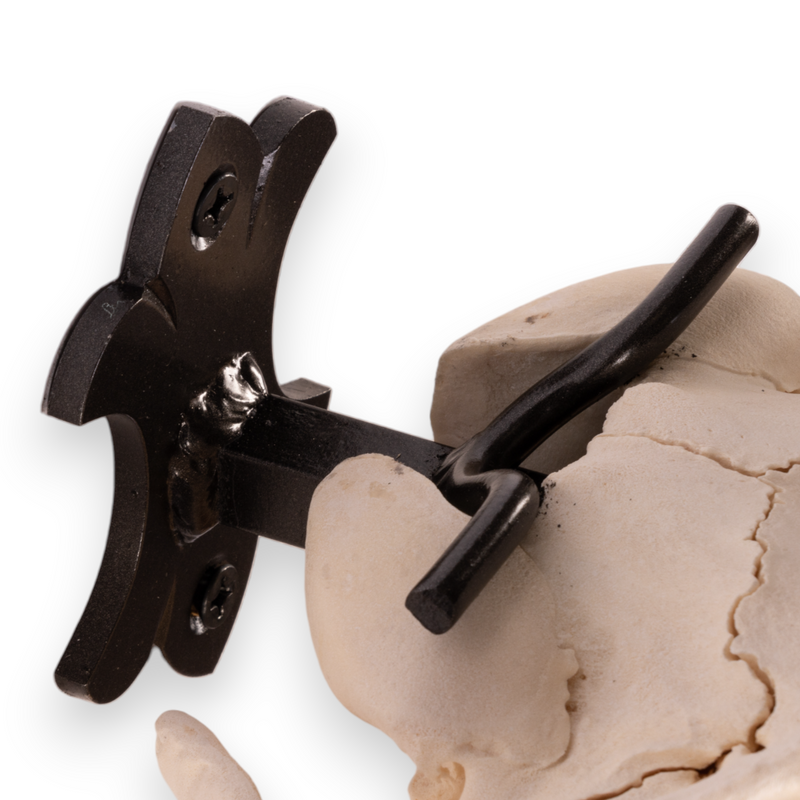 Metal Skull Mount - The 'Buffalo' Bracket