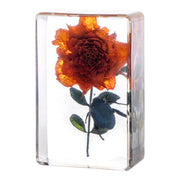 Real Insect and Flower in Acrylic