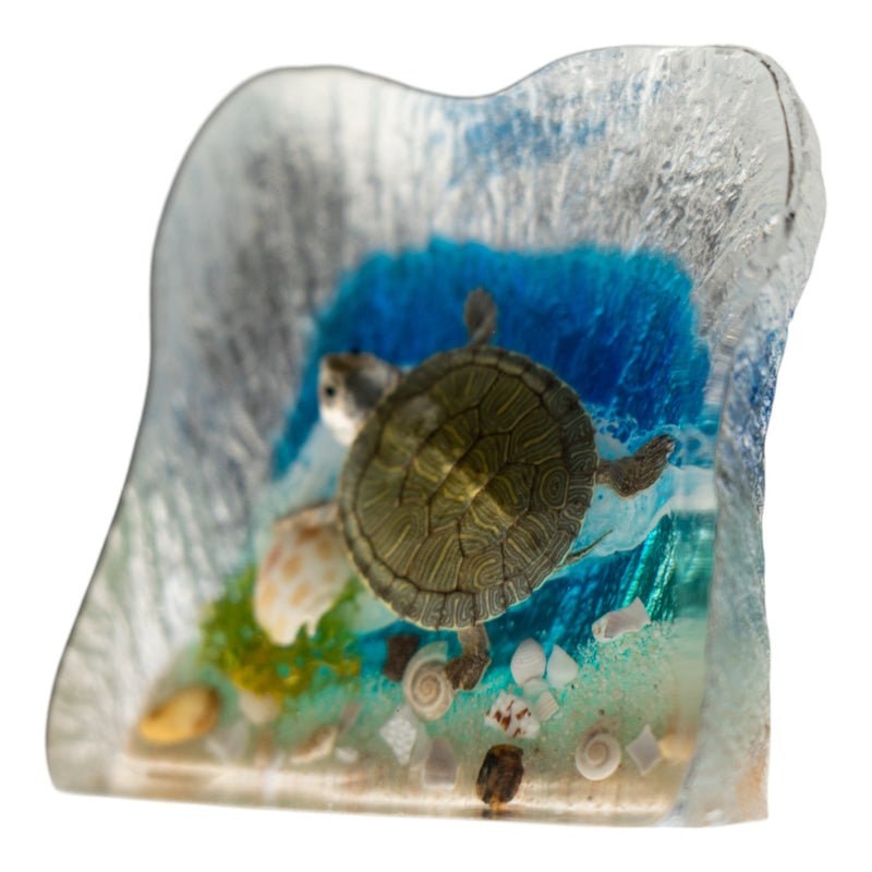 Autictic Turtle Real Turtle With Ocean Background In Acrylic For Sale — Skulls ...