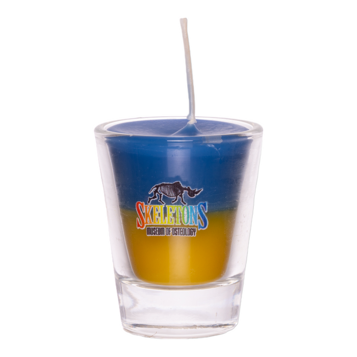 SKELETONS: Museum of Osteology Rainbow Short Shot Glass Candle