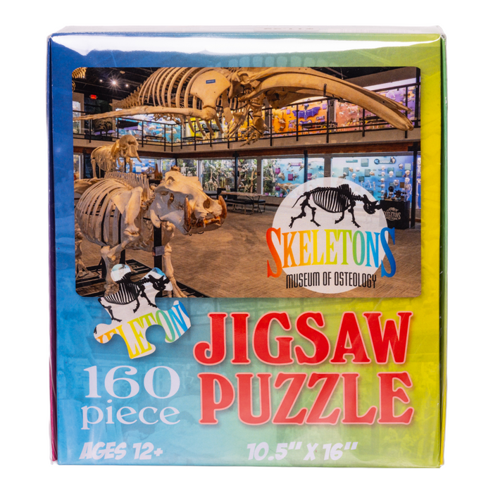 Skeletons Museum of Osteology Jigsaw Puzzle - 160 Pieces