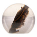 Real Bat in Acrylic Globe