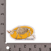 Museum of Osteology Rhino Sticker