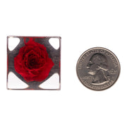 Real Red Rose in Acrylic Cube Magnet