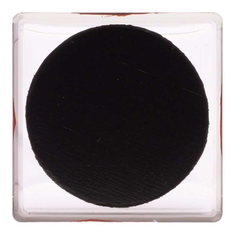 Real Red Rose in Acrylic Cube Magnet