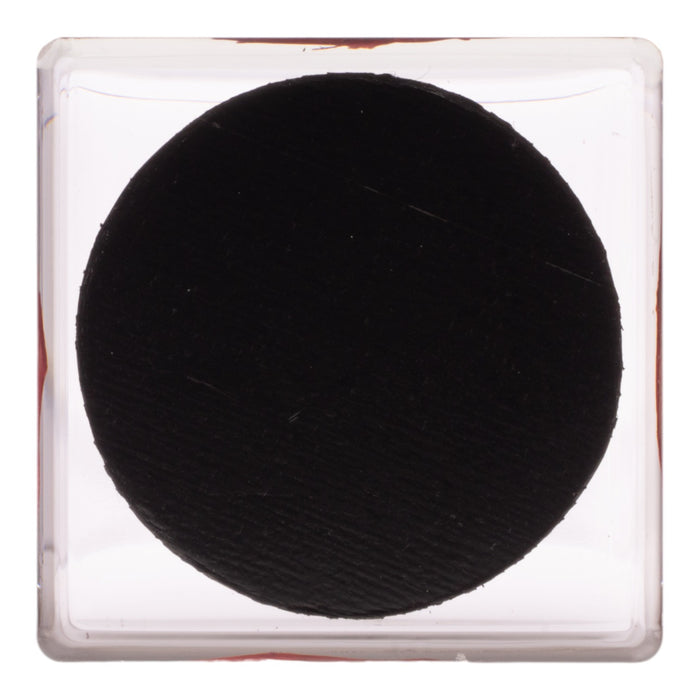 Real Red Rose in Acrylic Cube Magnet