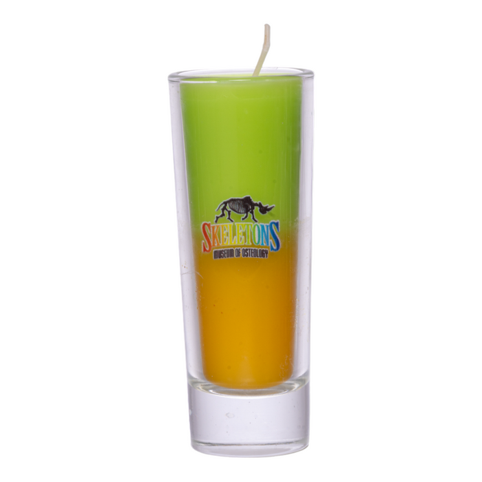 SKELETONS: Museum of Osteology Rainbow Tall Shot Glass Candle