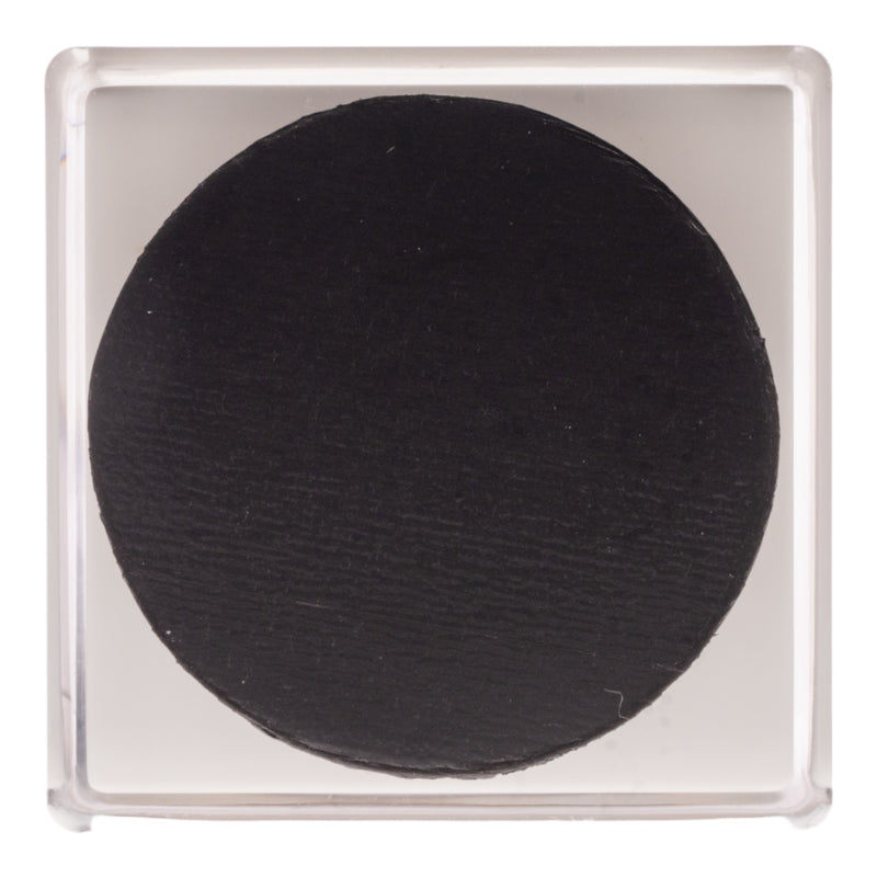 Real Lanternfly in Acrylic Cube Magnet