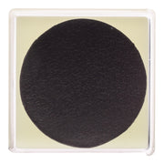 Real Spider in Acrylic Cube Magnet - Glow