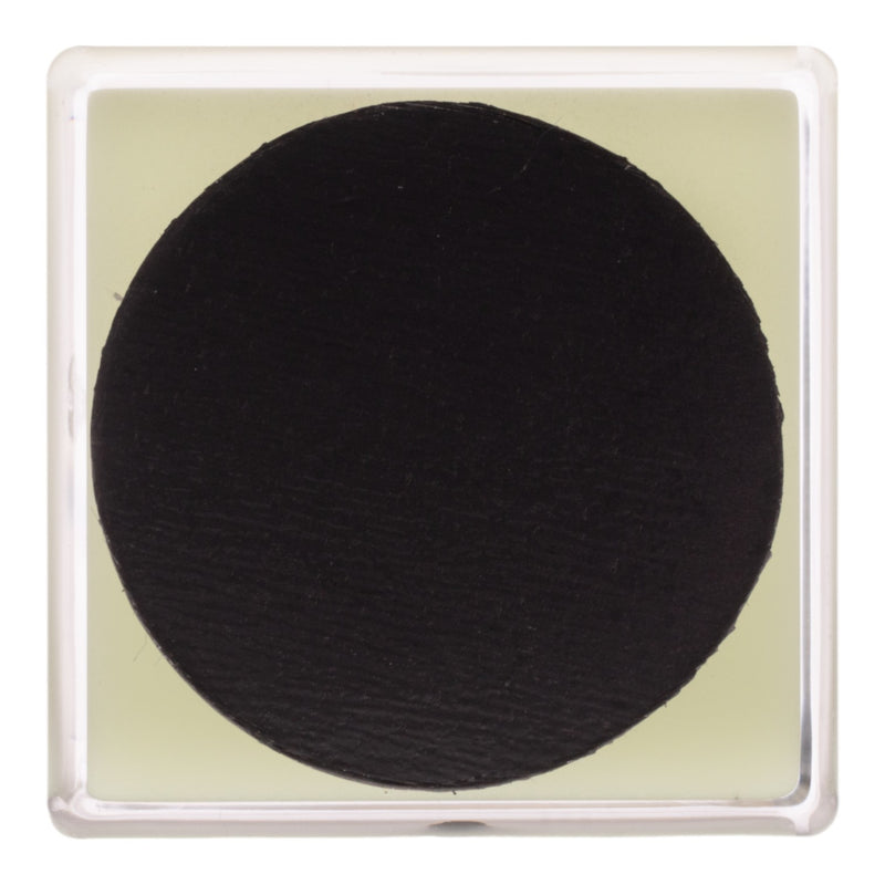Real Black Scorpion in Acrylic Cube Magnet - Glow