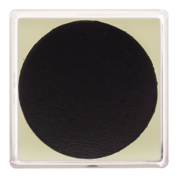 Real Black Scorpion in Acrylic Cube Magnet - Glow