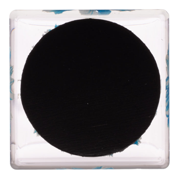 Real Daisy in Acrylic Cube Magnet - Blue