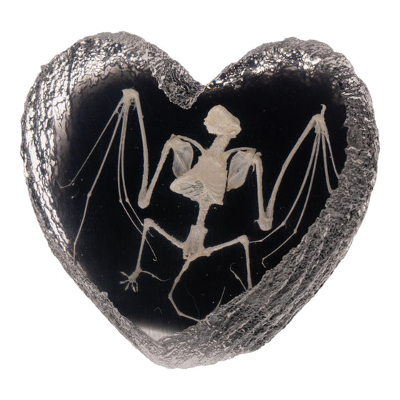 Real Bat Skeleton in Acrylic Heart