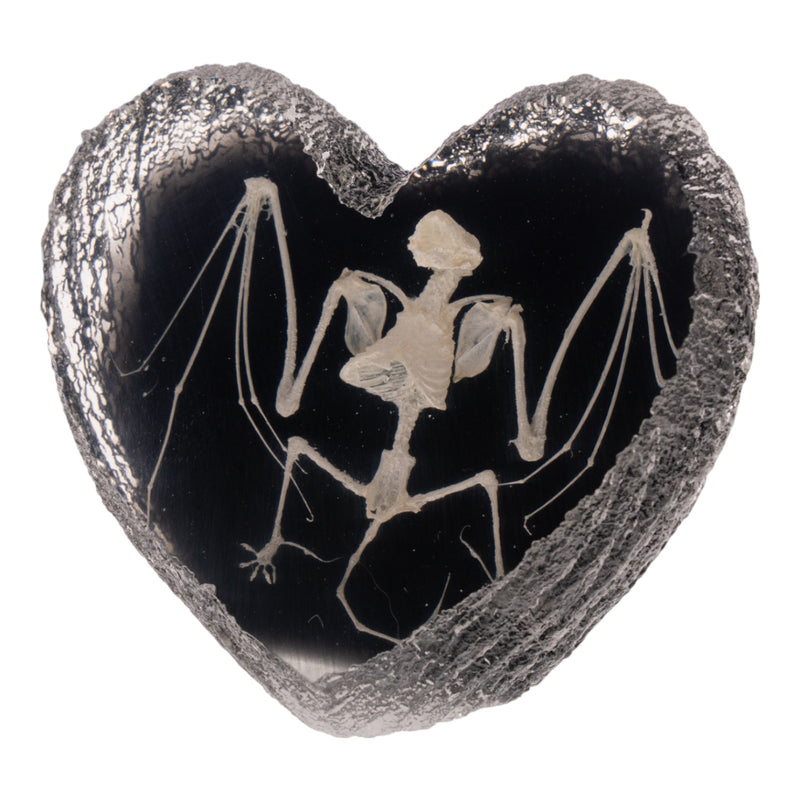 Real Bat Skeleton in Acrylic Heart