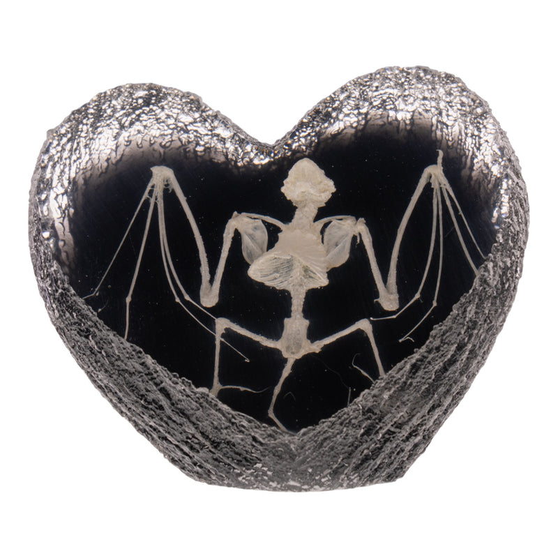 Real Bat Skeleton in Acrylic Heart